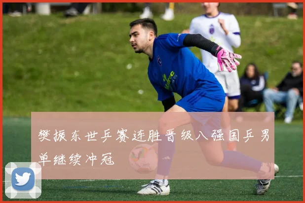 樊振东世乒赛连胜晋级八强国乒男单继续冲冠