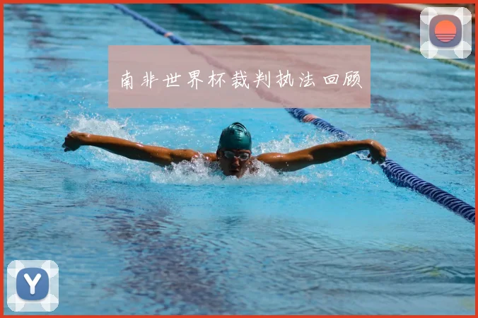 南非世界杯裁判执法回顾